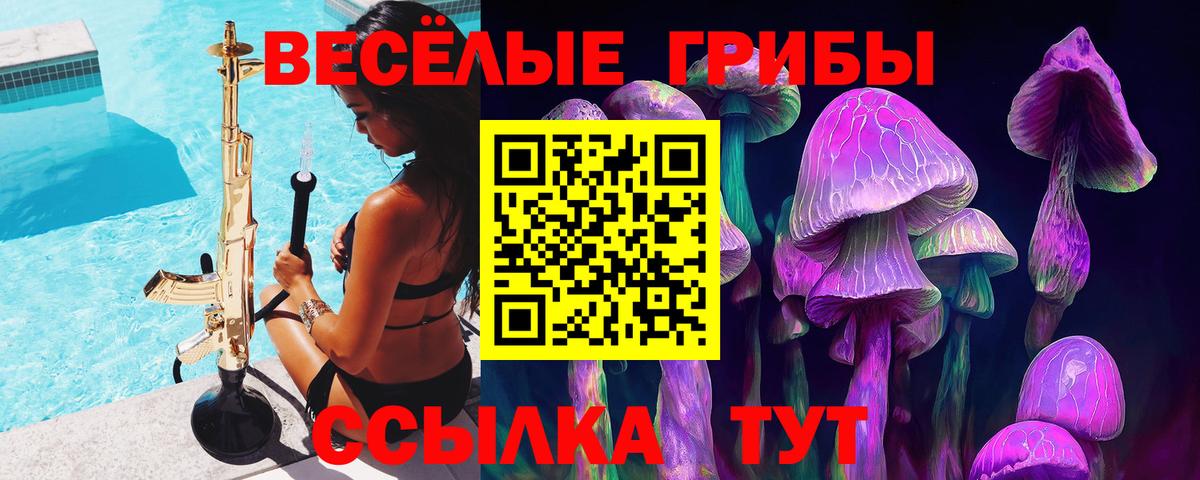 где купить наркоту  Галлюциногенные грибы Magic Shrooms  Вход с VPN  Сызрань 